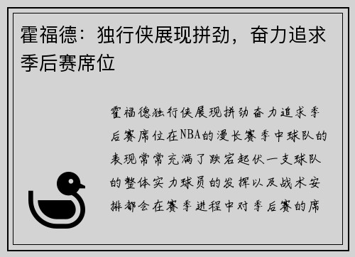 霍福德：独行侠展现拼劲，奋力追求季后赛席位