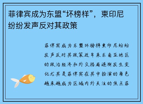 菲律宾成为东盟“坏榜样”，柬印尼纷纷发声反对其政策