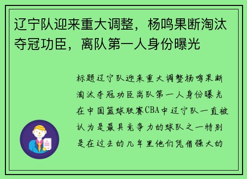 辽宁队迎来重大调整，杨鸣果断淘汰夺冠功臣，离队第一人身份曝光