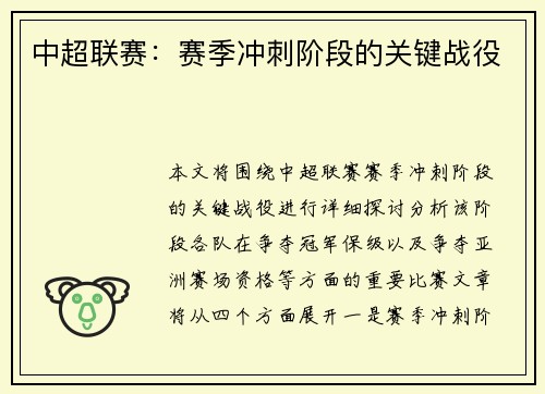 中超联赛：赛季冲刺阶段的关键战役