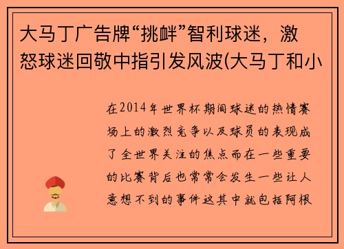 大马丁广告牌“挑衅”智利球迷，激怒球迷回敬中指引发风波(大马丁和小马丁)