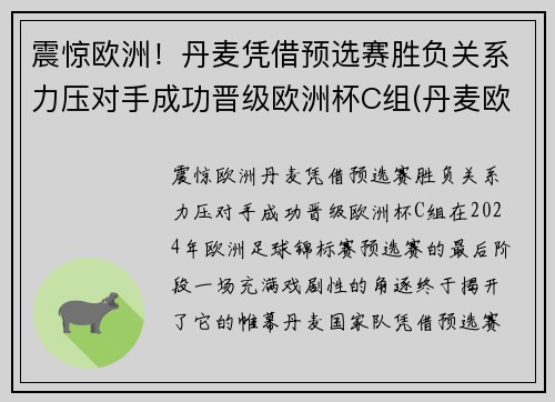 震惊欧洲！丹麦凭借预选赛胜负关系力压对手成功晋级欧洲杯C组(丹麦欧洲杯预选赛阵容)